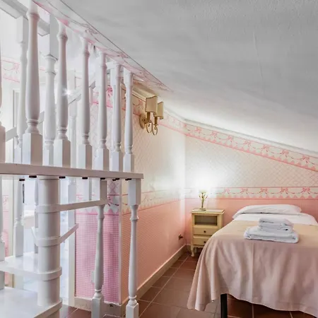 Hotiday Collection -